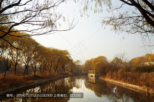 柳樹灣