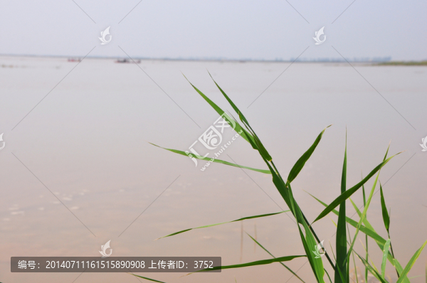 黃河