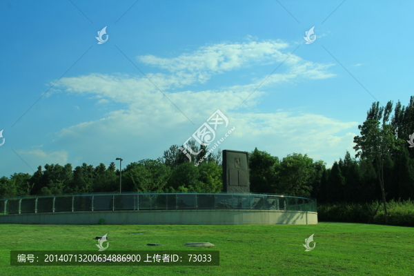 樹林,草地,,藍天,白云