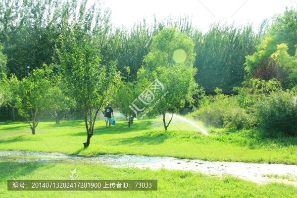 樹林,草地,,藍天,白云