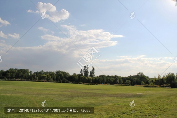 樹林,草地,,藍(lán)天,白云