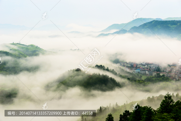 云海,云霧,山