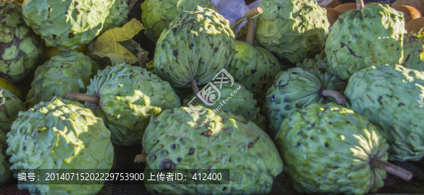 奶油果