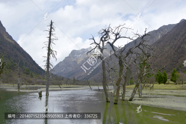 雙橋溝盆景灘