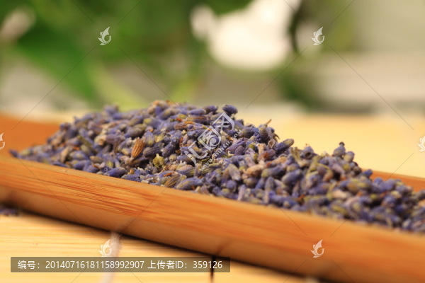 薰衣草