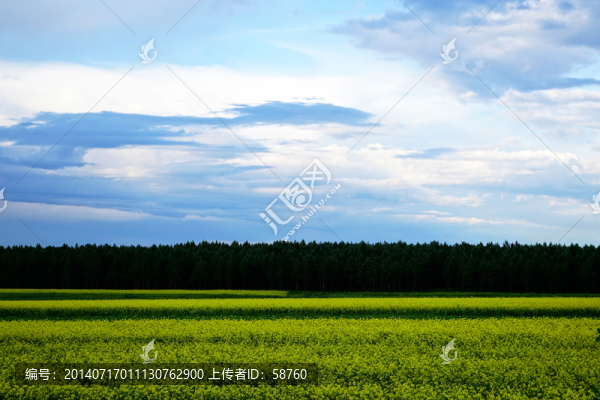 田野風光