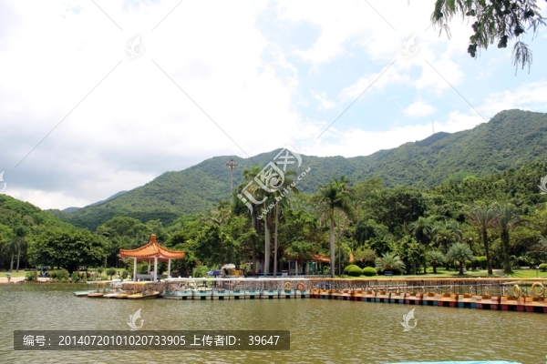 仙湖植物園