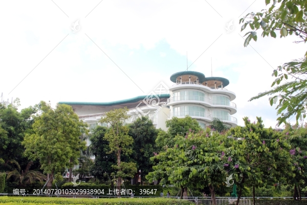 大梅沙