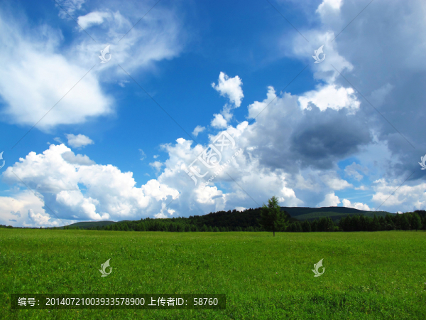 原野夏日