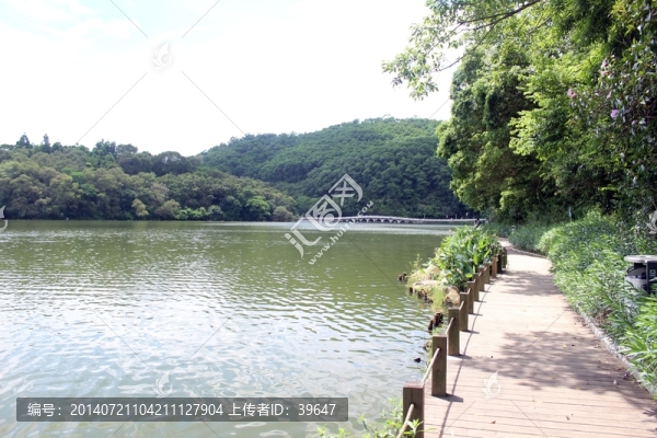 仙湖植物園