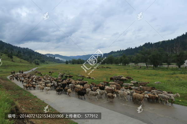 新疆,庫爾德寧,風(fēng)景,風(fēng)光
