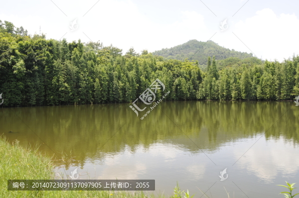 大夫山森林公園,湖面