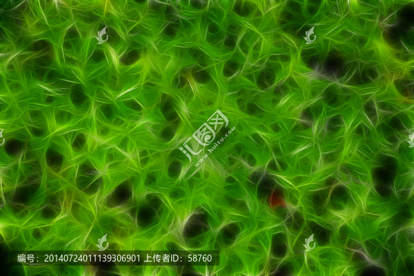 電腦畫,植物紋理