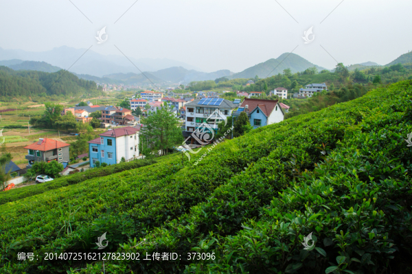 鄉(xiāng)村氧吧