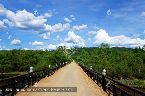 通往山里的木橋