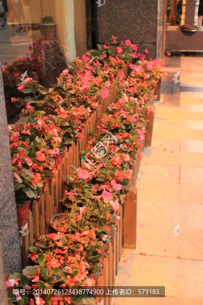 花欄
