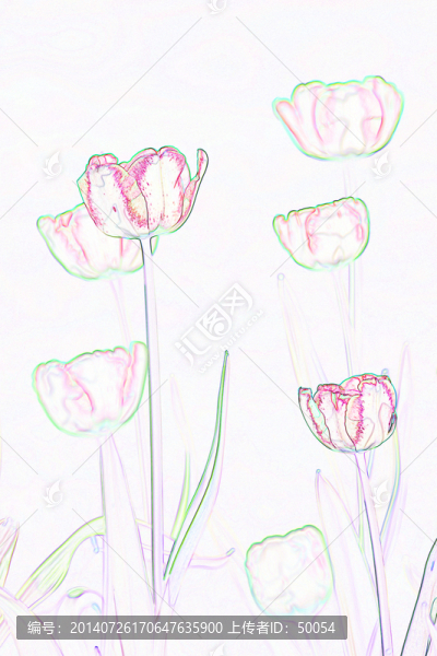 藝術(shù)花卉,郁金香