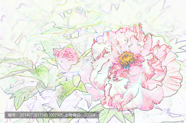 藝術花卉,紅牡丹