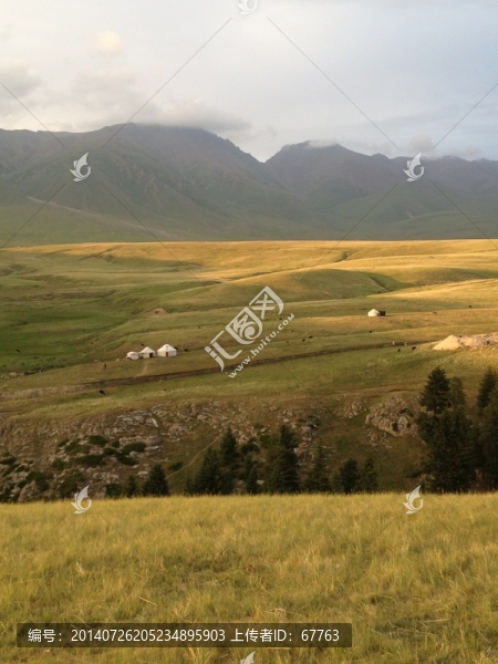 陽光山坡