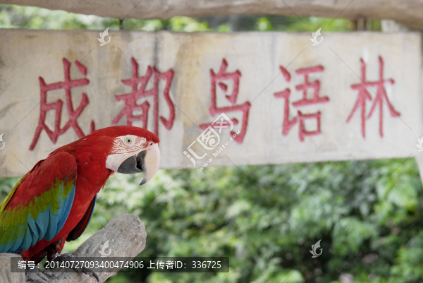 成都鳥語林