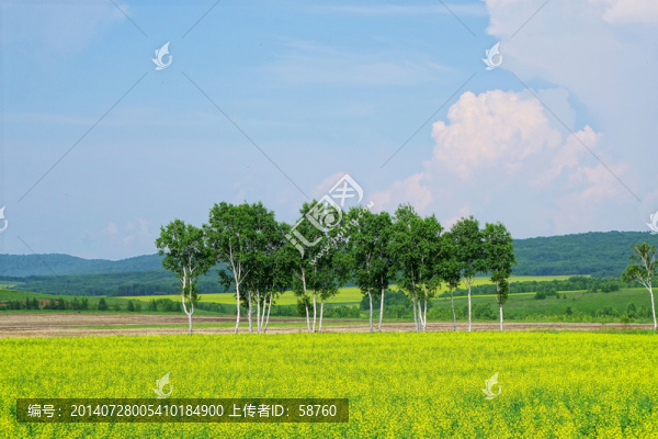 田野風(fēng)光