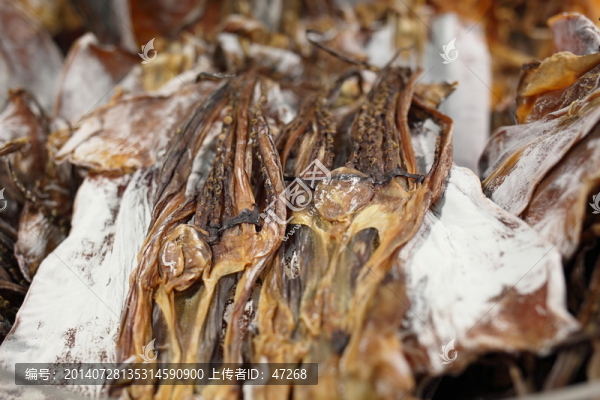 魷魚干