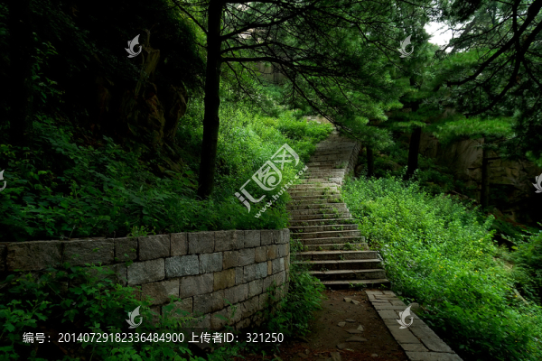 泰山風光