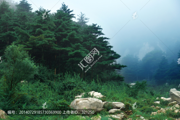 泰山風(fēng)光
