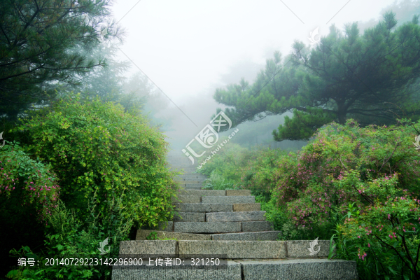 泰山盤(pán)道