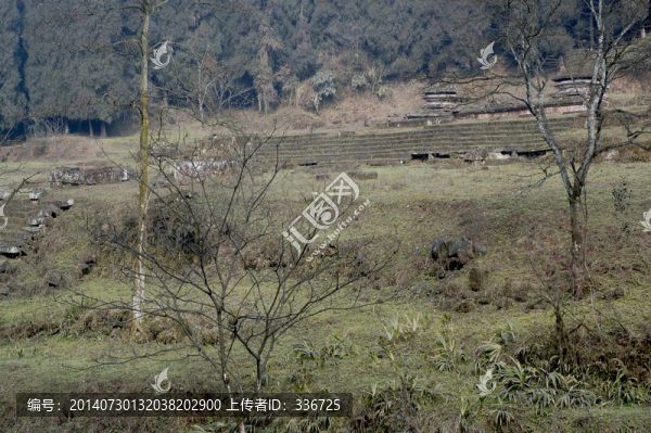 天臺山經(jīng)綸寺遺址