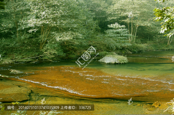 小九寨清澈見底的溪流