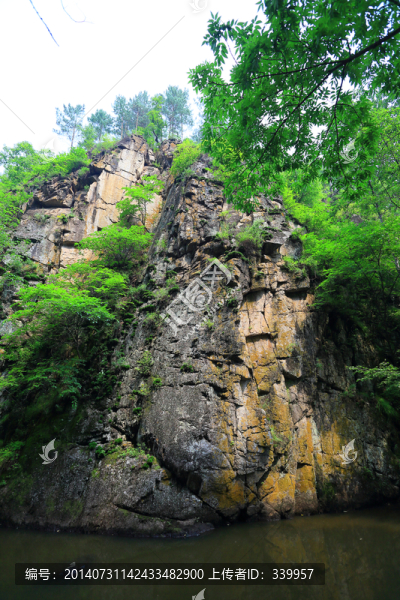 伊春,嘉蔭
