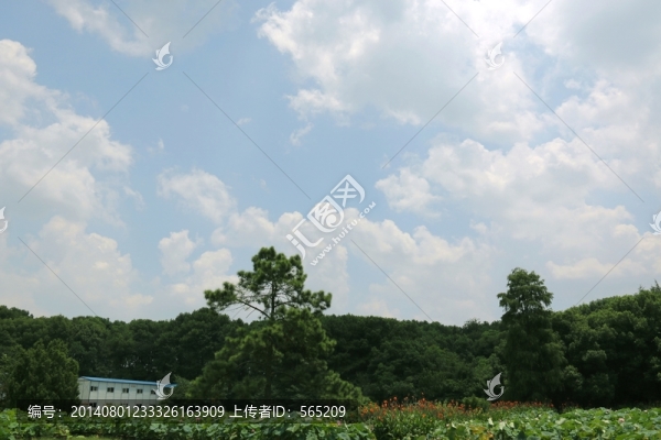 磨山風(fēng)景