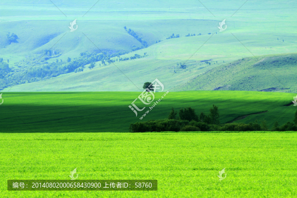 原野