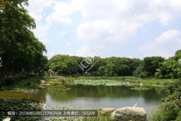 磨山風景