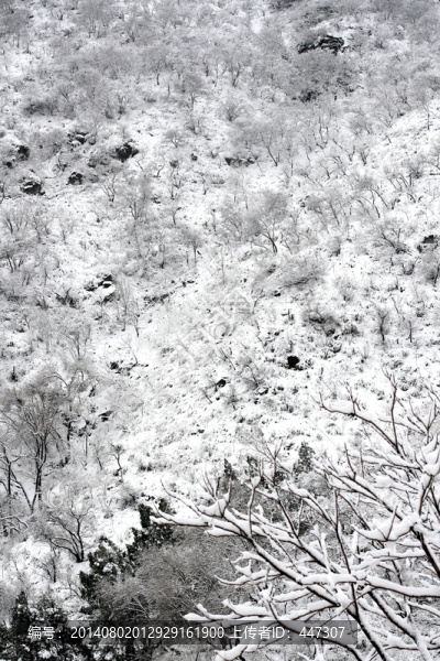 雪