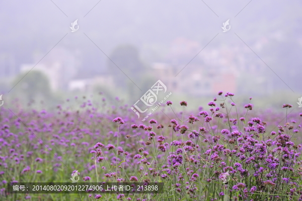 花園