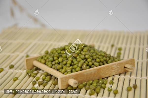 綠豆