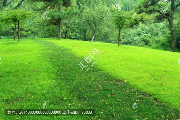 綠地