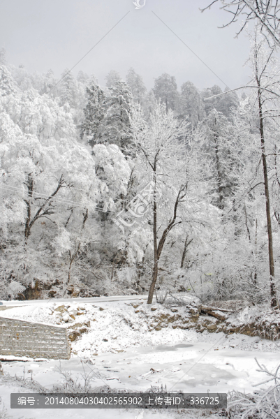 G318風(fēng)光雪景