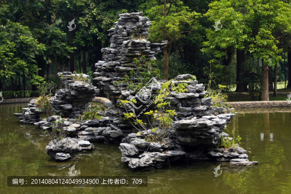 水池假山