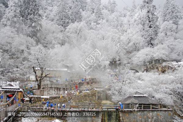 雪中溫泉池