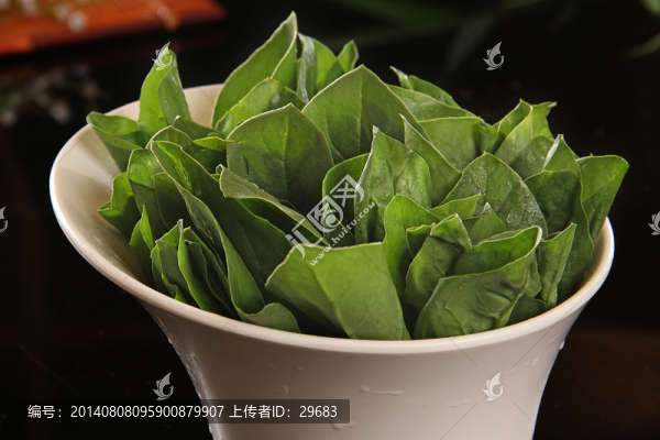 油麥菜