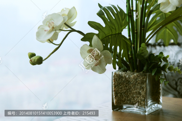 室內(nèi)裝飾,家裝,飾品,綠植