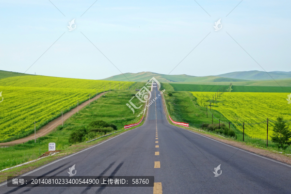 草原公路
