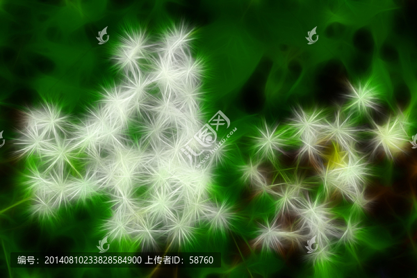 電腦畫,花之韻