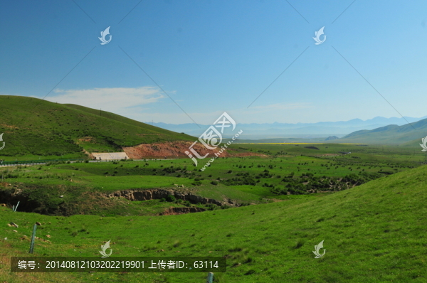 大美青海,高原牧場,青海湖