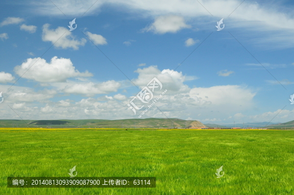大美青海,高原牧場,青海湖