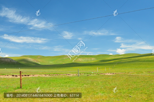 大美青海,大草原