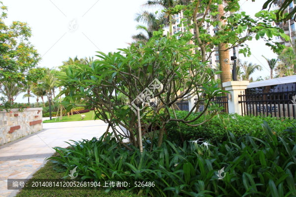 小區(qū)園林